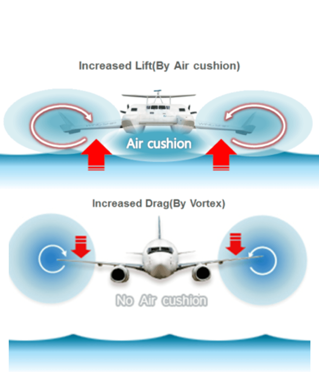 Seagliders glide atop a cushion of air